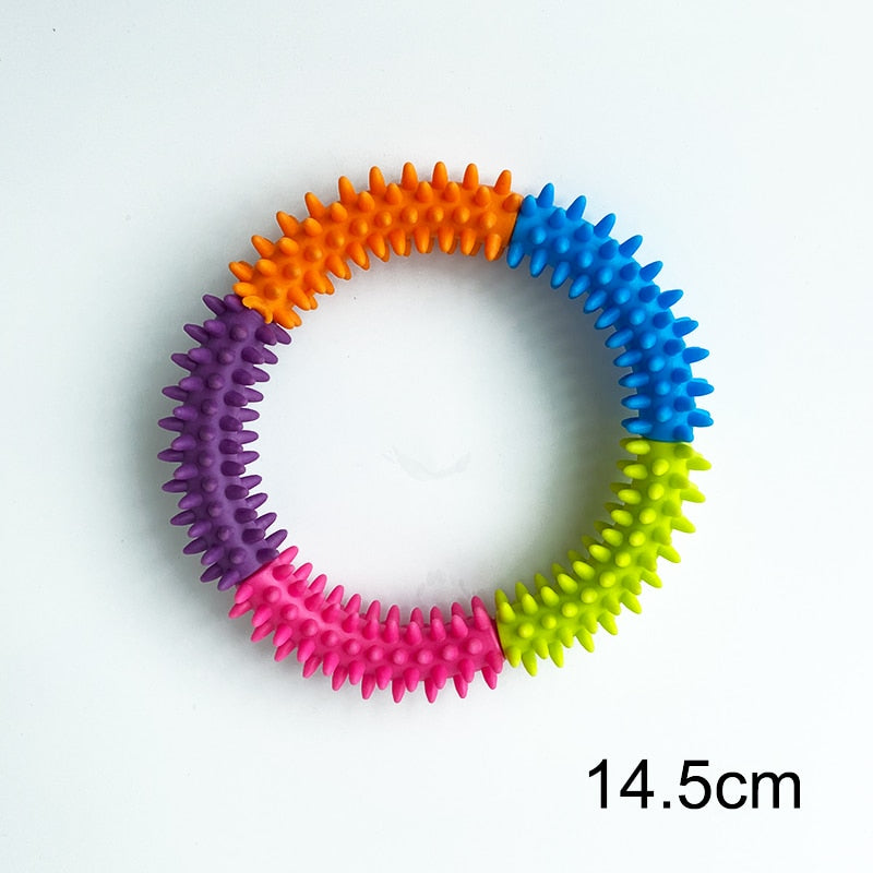 Dog Toy EVA Interactive Ring