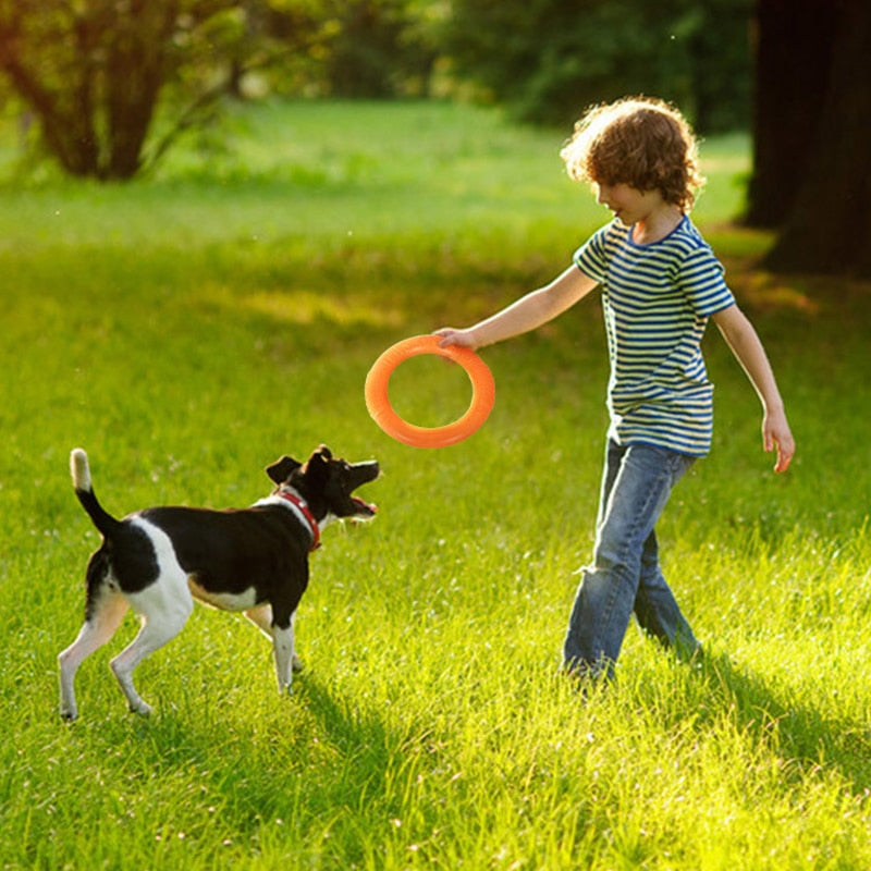 Dog Toy EVA Interactive Ring