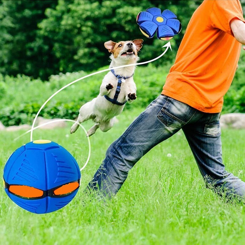 Pet Flying Saucer Ball