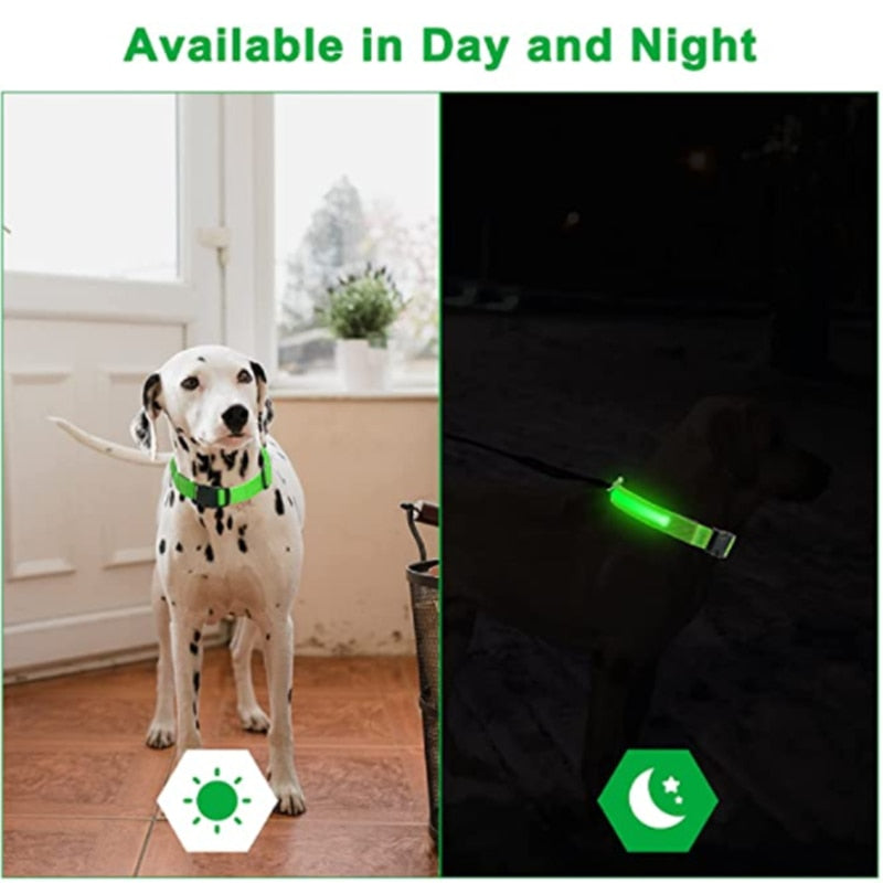 LED Glowing Dog Rechargeable Collar