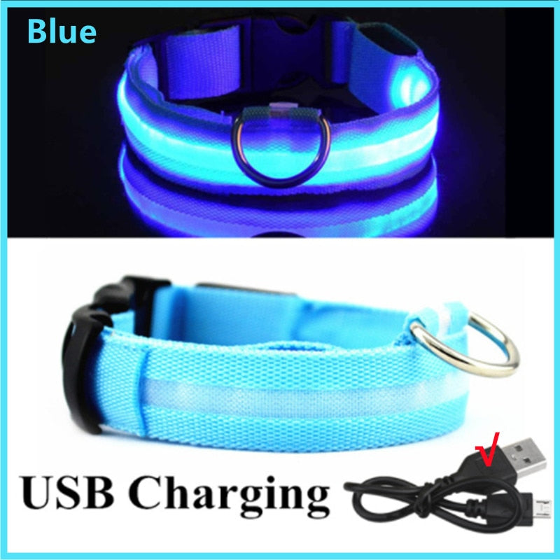 LED Glowing Dog Rechargeable Collar