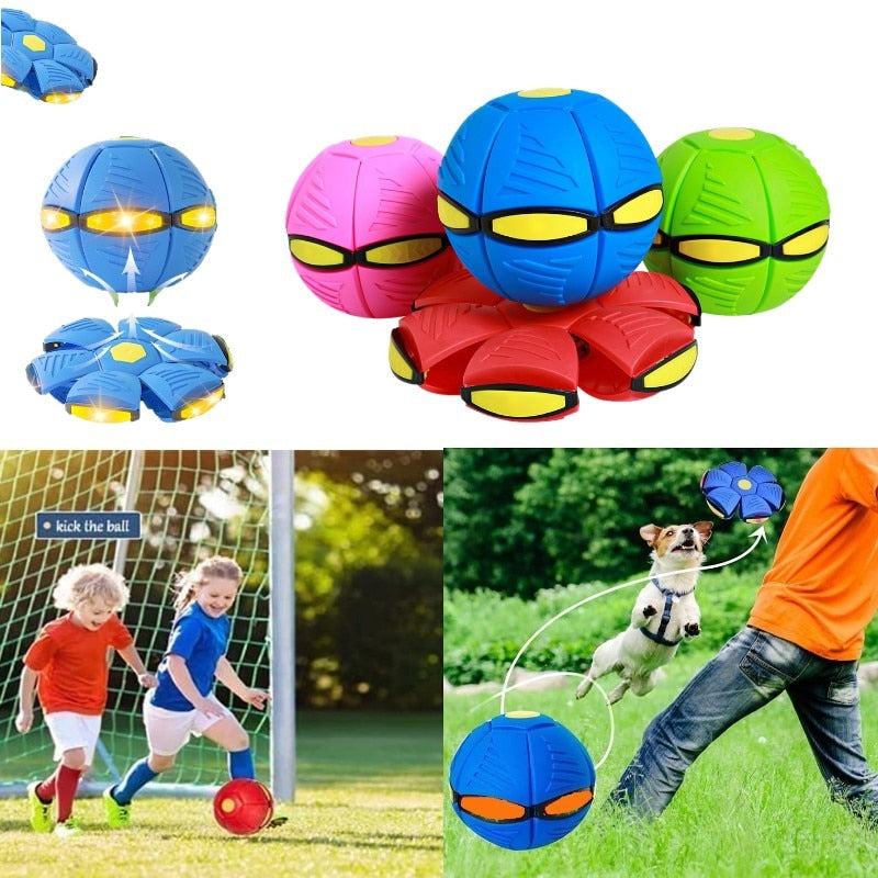 Pet Flying Saucer Ball