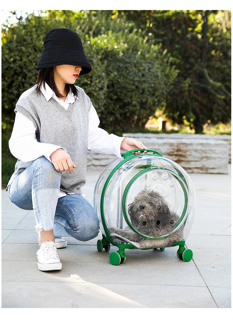 Pet Trolley Suitcase Luggage