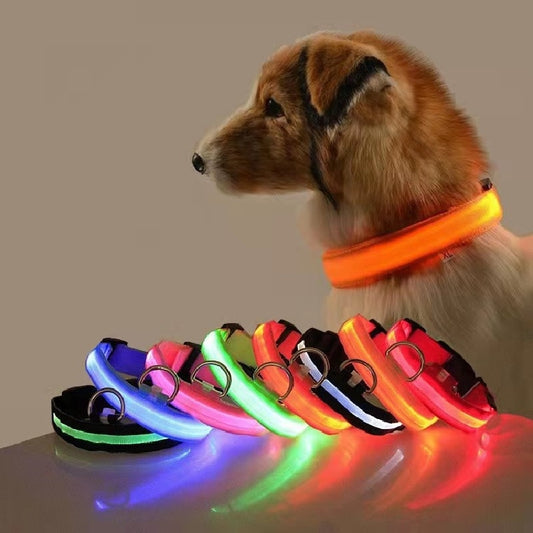 Pet LED USB Rechargeable Collar