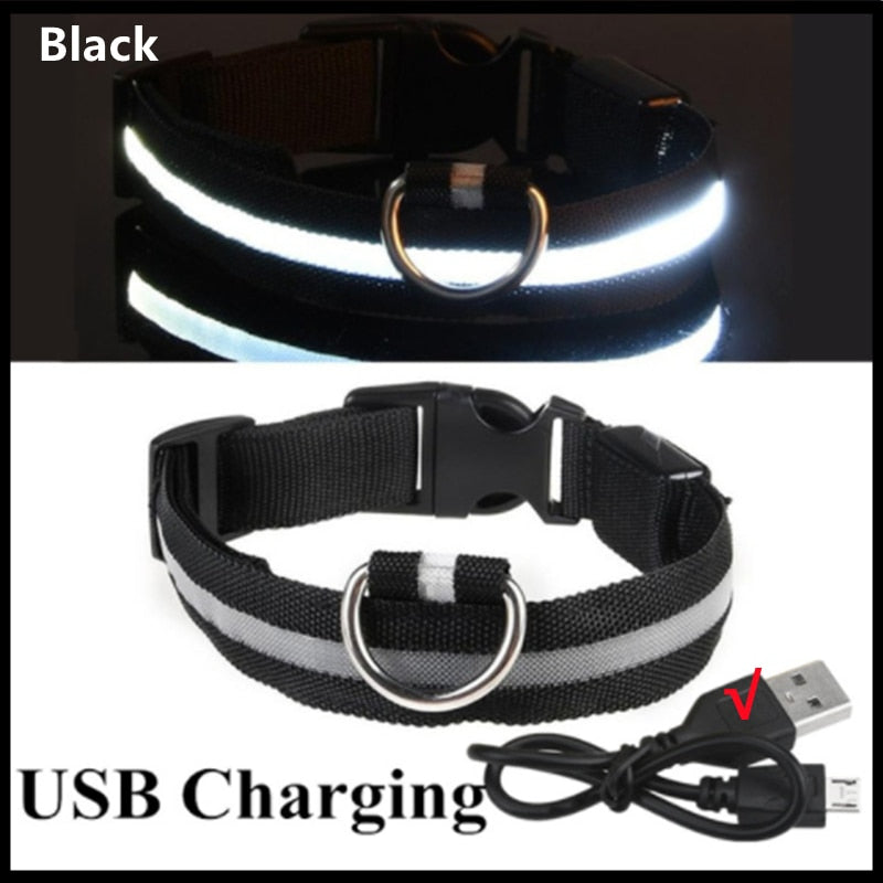 LED Glowing Dog Rechargeable Collar