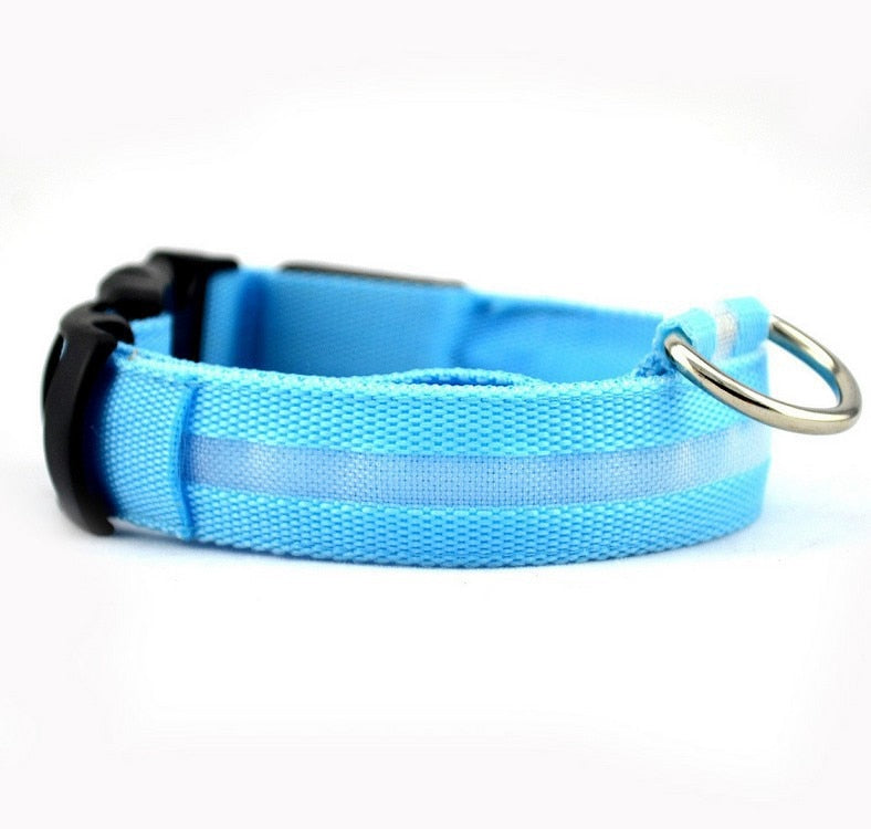 Pet LED USB Rechargeable Collar