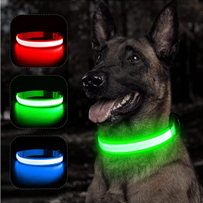 LED Glowing Dog Rechargeable Collar