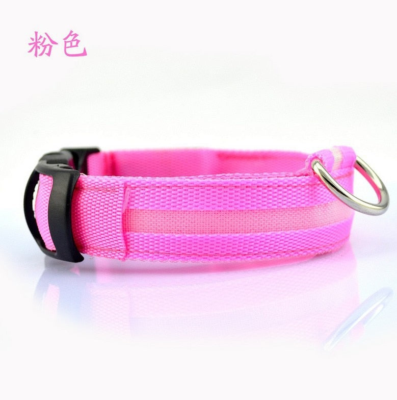 Pet LED USB Rechargeable Collar