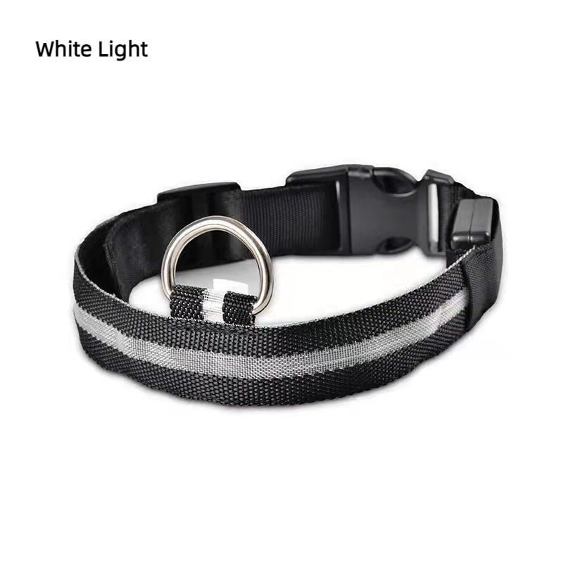 Pet LED USB Rechargeable Collar