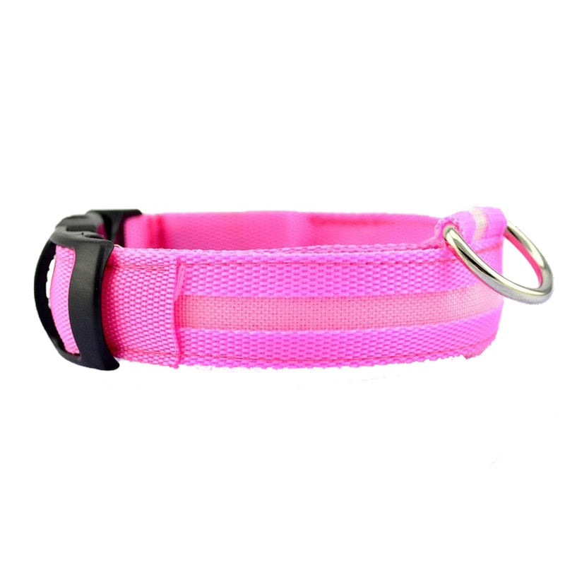 Pet LED USB Rechargeable Collar