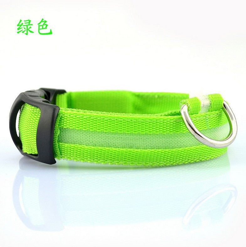 Pet LED USB Rechargeable Collar